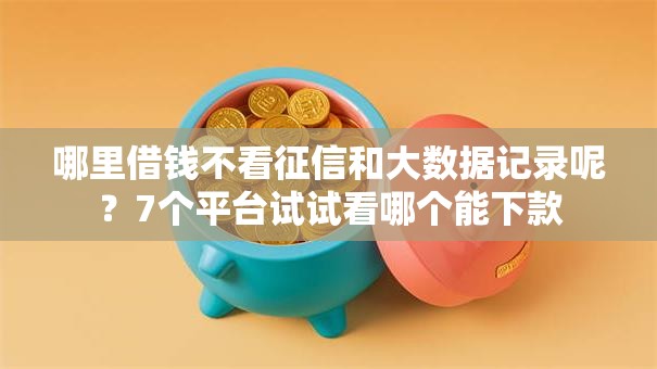 哪里借钱不看征信和大数据记录呢？7个平台试试看哪个能下款