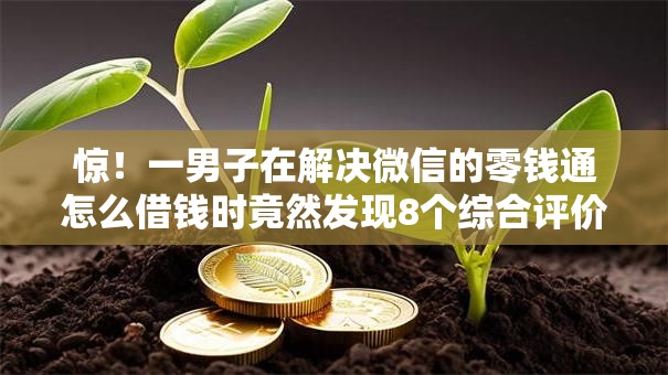 惊！一男子在解决微信的零钱通怎么借钱时竟然发现8个综合评价不足借款平台能够借到钱，事后分享了出来