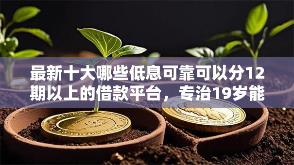 最新十大哪些低息可靠可以分12期以上的借款平台，专治19岁能申请的借钱平台