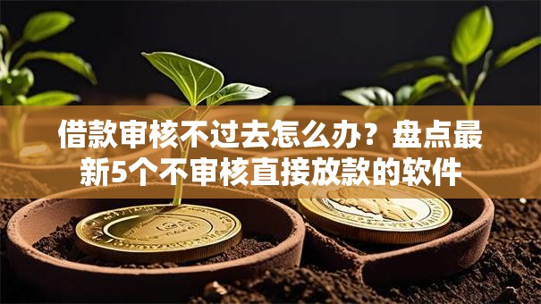 借款审核不过去怎么办？盘点最新5个不审核直接放款的软件