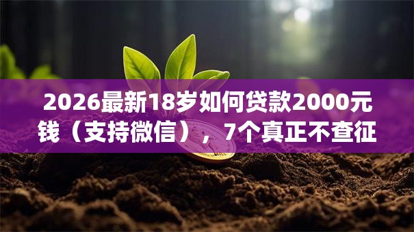 2026最新18岁如何贷款2000元钱（支持微信），7个真正不查征信的贷款app无私分享