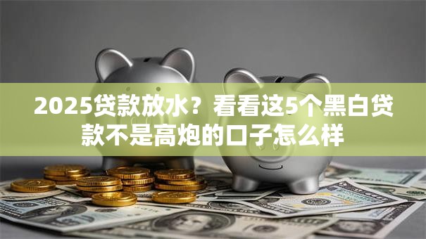 2025贷款放水？看看这5个黑白贷款不是高炮的口子怎么样
