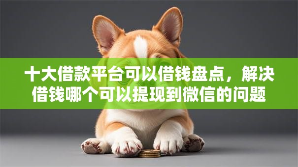 十大借款平台可以借钱盘点，解决借钱哪个可以提现到微信的问题