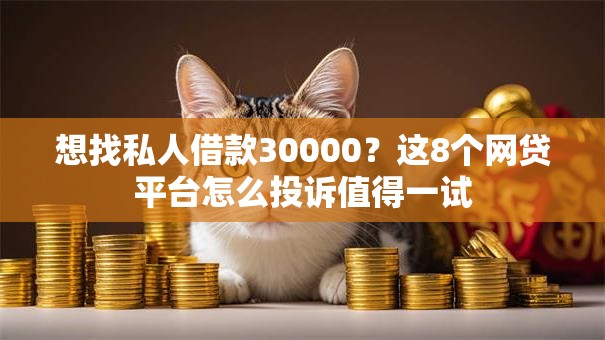 想找私人借款30000？这8个网贷平台怎么投诉值得一试