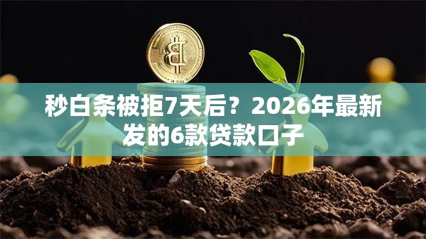 秒白条被拒7天后？2026年最新发的6款贷款口子