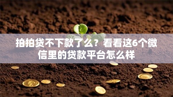 拍拍贷不下款了么?看看这6个微信里的贷款平台怎么样 拍拍贷不下款了么?看看这6个微信里的贷款平台怎么样