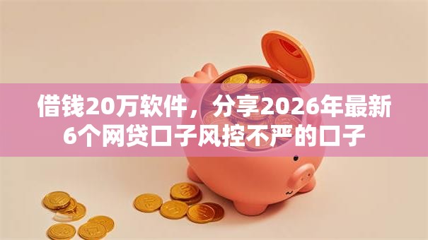 借钱20万软件，分享2026年最新6个网贷口子风控不严的口子