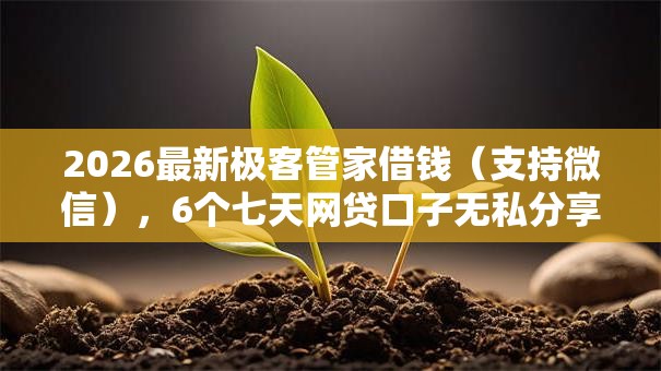2026最新极客管家借钱(支持微信),6个七天网贷口子无私分享 2026最新极客管家借钱(支持微信),6个七天网贷口子无私分享