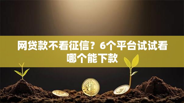 网贷款不看征信?6个平台试试看哪个能下款 网贷款不看征信?6个平台试试看哪个能下款