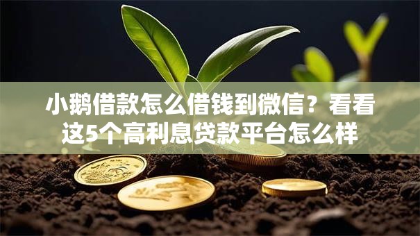 小鹅借款怎么借钱到微信?看看这5个高利息贷款平台怎么样 小鹅借款怎么借钱到微信?看看这5个高利息贷款平台怎么样