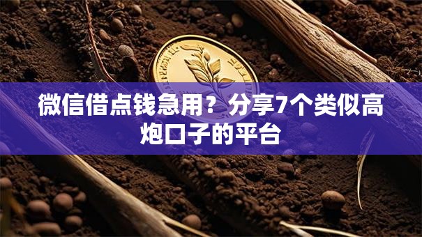 微信借点钱急用?分享7个类似高炮口子的平台 微信借点钱急用?分享7个类似高炮口子的平台