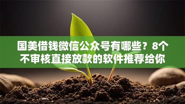 国美借钱微信公众号有哪些？8个不审核直接放款的软件推荐给你