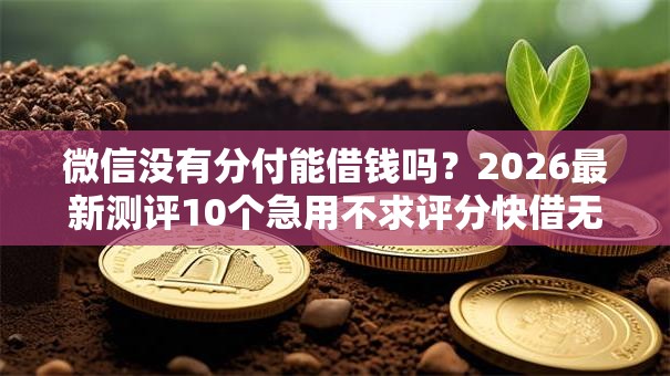 微信没有分付能借钱吗？2026最新测评10个急用不求评分快借无忧的软件