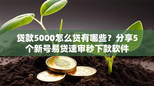 贷款5000怎么贷有哪些？分享5个新号易贷速审秒下款软件