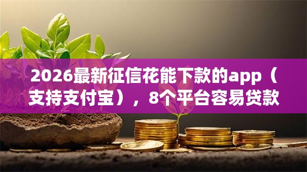 2026最新征信花能下款的app（支持支付宝），8个平台容易贷款无私分享