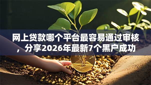 网上贷款哪个平台最容易通过审核，分享2026年最新7个黑户成功获取大额贷款的平台