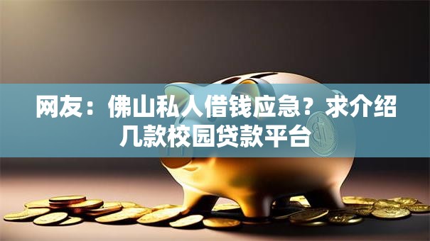 网友：佛山私人借钱应急？求介绍几款校园贷款平台