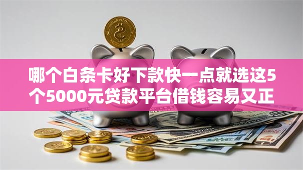哪个白条卡好下款快一点就选这5个5000元贷款平台借钱容易又正规