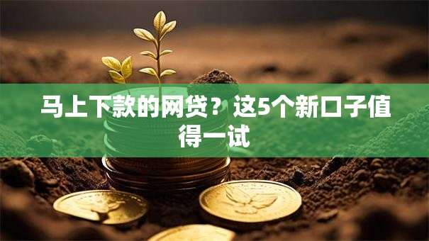 马上下款的网贷？这5个新口子值得一试