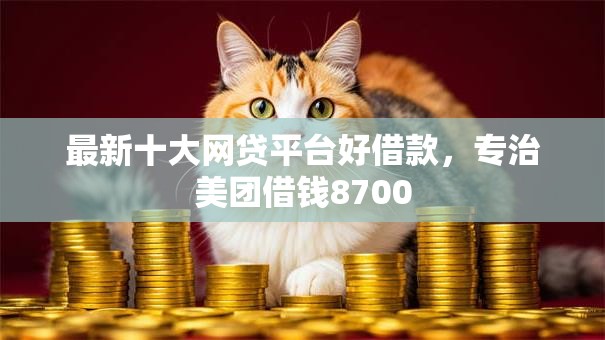 最新十大网贷平台好借款，专治美团借钱8700