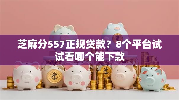 芝麻分557正规贷款？8个平台试试看哪个能下款