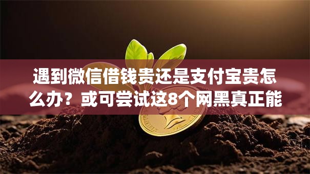 遇到微信借钱贵还是支付宝贵怎么办?或可尝试这8个网黑真正能下款的app 遇到微信借钱贵还是支付宝贵怎么办?或可尝试这8个网黑真正能下款的app