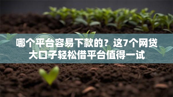 哪个平台容易下款的？这7个网贷大口子轻松借平台值得一试