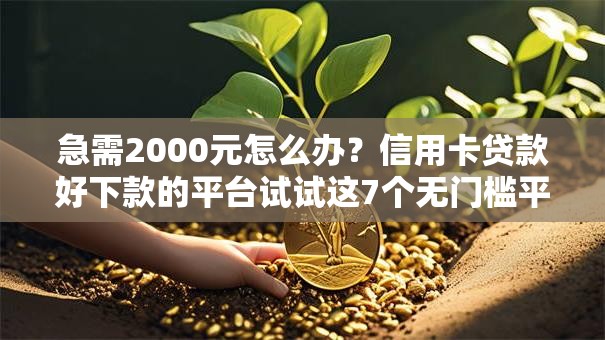 急需2000元怎么办？信用卡贷款好下款的平台试试这7个无门槛平台