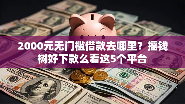 2000元无门槛借款去哪里？摇钱树好下款么看这5个平台