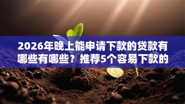 2026年晚上能申请下款的贷款有哪些有哪些？推荐5个容易下款的平台