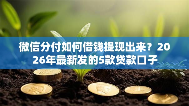 微信分付如何借钱提现出来？2026年最新发的5款贷款口子