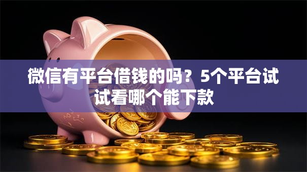 微信有平台借钱的吗？5个平台试试看哪个能下款