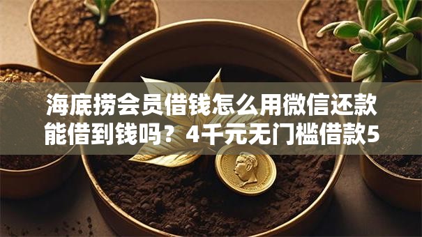 海底捞会员借钱怎么用微信还款能借到钱吗？4千元无门槛借款5个平台推荐