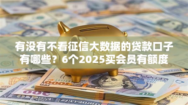 有没有不看征信大数据的贷款口子有哪些？6个2025买会员有额度的口子推荐给你