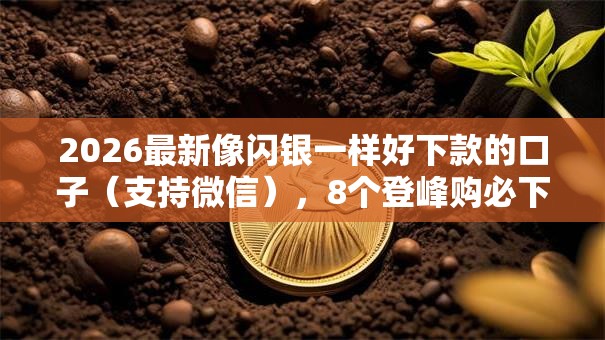 2026最新像闪银一样好下款的口子（支持微信），8个登峰购必下口子无私分享