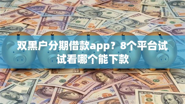 双黑户分期借款app？8个平台试试看哪个能下款