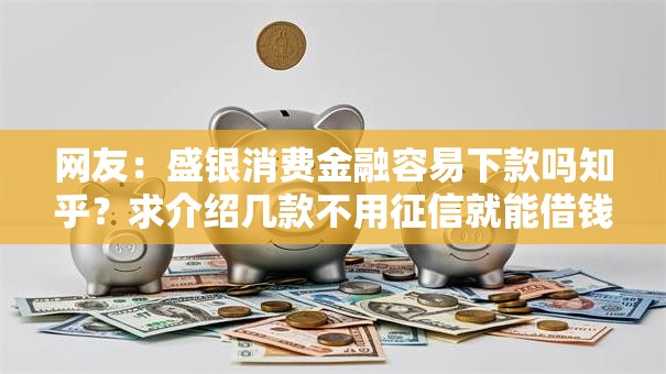 网友：盛银消费金融容易下款吗知乎？求介绍几款不用征信就能借钱的平台