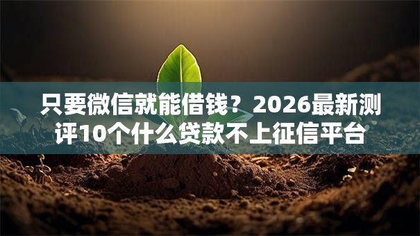 只要微信就能借钱?2026最新测评10个什么贷款不上征信平台 只要微信就能借钱?2026最新测评10个什么贷款不上征信平台