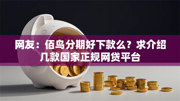 网友：佰鸟分期好下款么？求介绍几款国家正规网贷平台