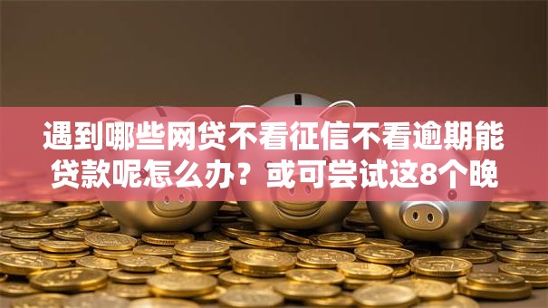 遇到哪些网贷不看征信不看逾期能贷款呢怎么办？或可尝试这8个晚上也能秒下款的口子