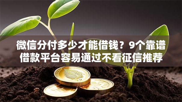 微信分付多少才能借钱?9个靠谱借款平台容易通过不看征信推荐 微信分付多少才能借钱?9个靠谱借款平台容易通过不看征信推荐