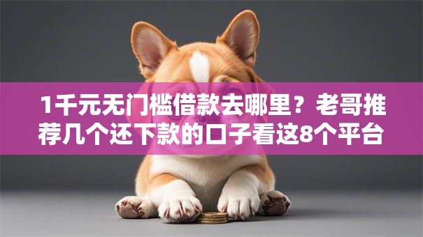 1千元无门槛借款去哪里？老哥推荐几个还下款的口子看这8个平台
