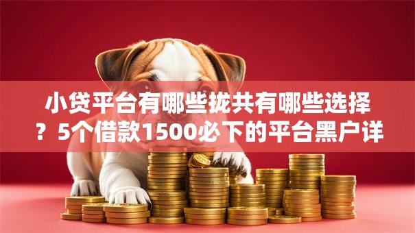小贷平台有哪些拢共有哪些选择？5个借款1500必下的平台黑户详解