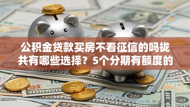 公积金贷款买房不看征信的吗拢共有哪些选择?5个分期有额度的网贷口子详解 公积金贷款买房不看征信的吗拢共有哪些选择?5个分期有额度的网贷口子详解