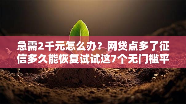 急需2千元怎么办?网贷点多了征信多久能恢复试试这7个无门槛平台 急需2千元怎么办?网贷点多了征信多久能恢复试试这7个无门槛平台