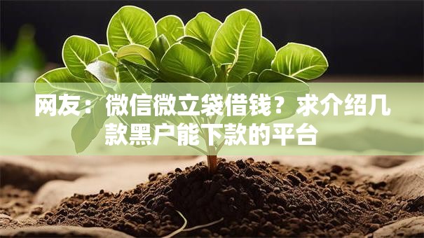 网友:微信微立袋借钱?求介绍几款黑户能下款的平台 网友:微信微立袋借钱?求介绍几款黑户能下款的平台