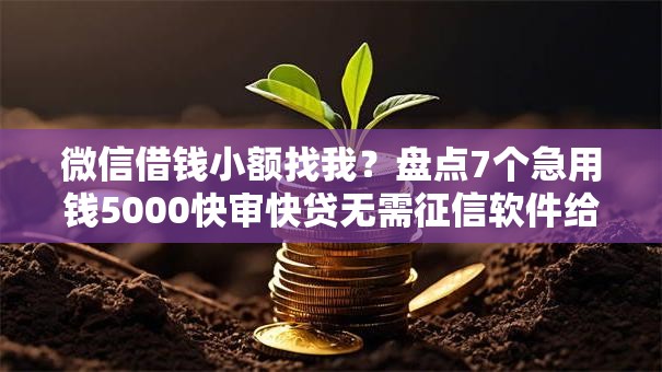 微信借钱小额找我？盘点7个急用钱5000快审快贷无需征信软件给你参考