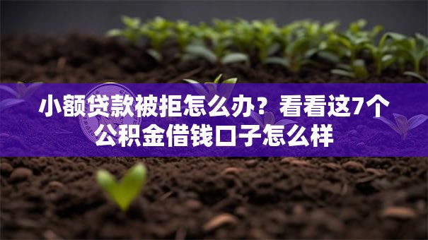 小额贷款被拒怎么办？看看这7个公积金借钱口子怎么样