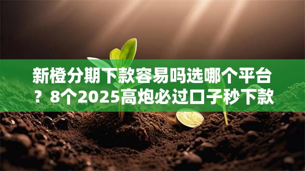 新橙分期下款容易吗选哪个平台？8个2025高炮必过口子秒下款推荐