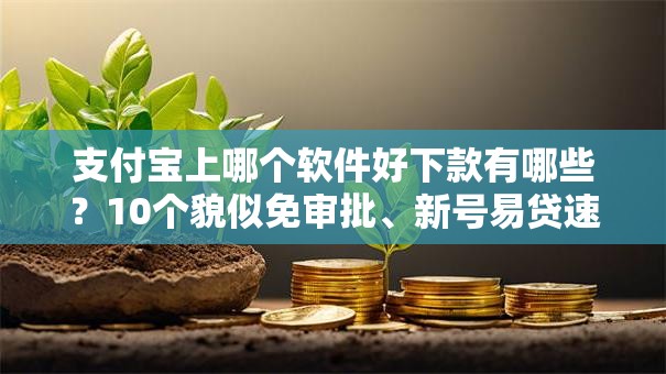 支付宝上哪个软件好下款有哪些？10个貌似免审批、新号易贷速审秒下款软件合集